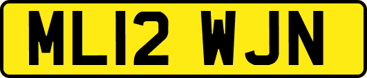 ML12WJN