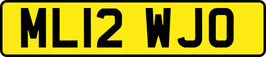ML12WJO