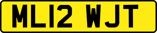 ML12WJT