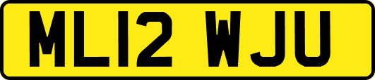 ML12WJU