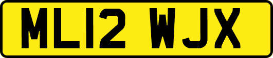 ML12WJX