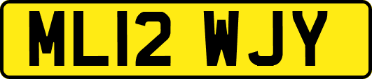 ML12WJY