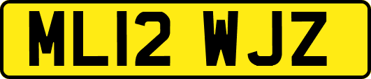 ML12WJZ