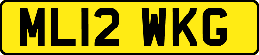 ML12WKG