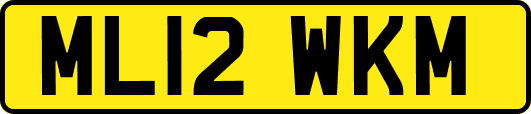 ML12WKM