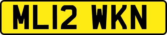 ML12WKN