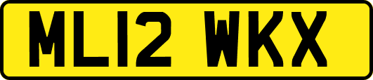 ML12WKX