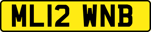 ML12WNB