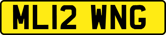 ML12WNG