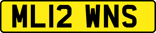 ML12WNS