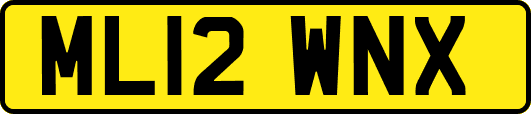ML12WNX