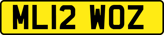 ML12WOZ