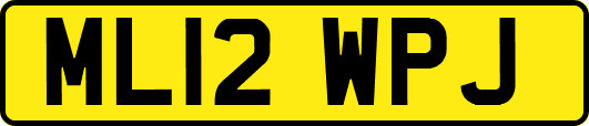 ML12WPJ