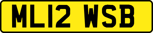 ML12WSB