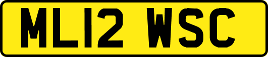 ML12WSC