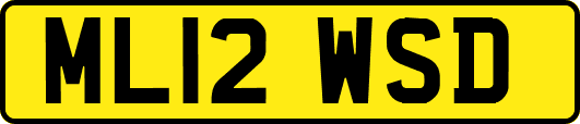 ML12WSD