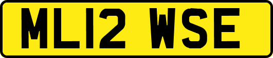 ML12WSE