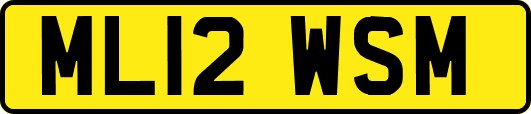ML12WSM