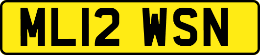 ML12WSN