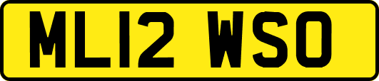 ML12WSO