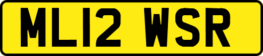 ML12WSR