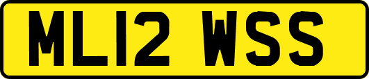 ML12WSS