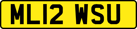 ML12WSU