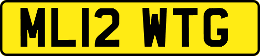 ML12WTG