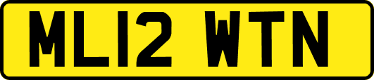 ML12WTN