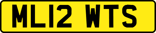 ML12WTS