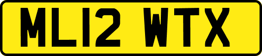 ML12WTX