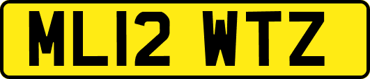 ML12WTZ