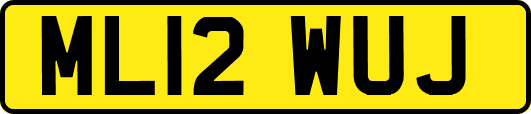ML12WUJ