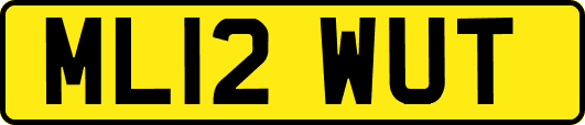 ML12WUT