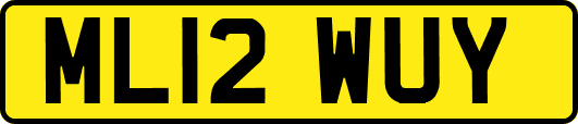 ML12WUY