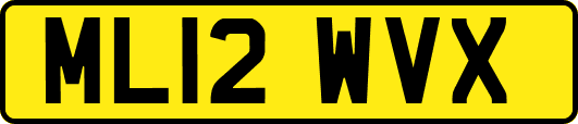 ML12WVX