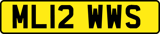 ML12WWS