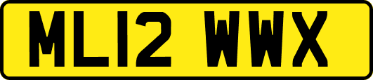 ML12WWX