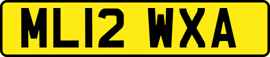 ML12WXA