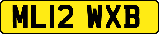 ML12WXB