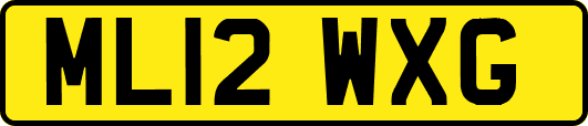ML12WXG