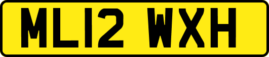 ML12WXH