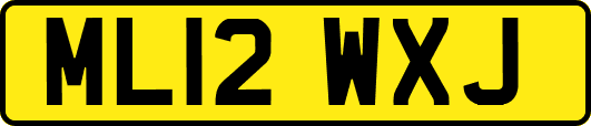 ML12WXJ