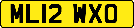 ML12WXO