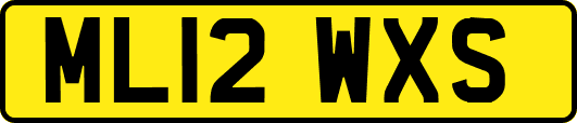 ML12WXS