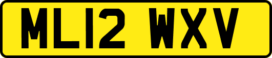 ML12WXV