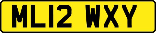 ML12WXY