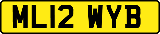 ML12WYB