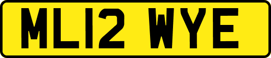 ML12WYE