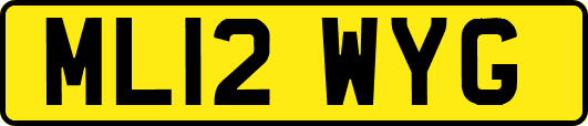 ML12WYG